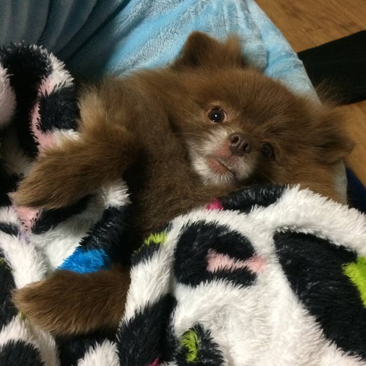 730414ae 8c0a 4451 b38d 110e86bef831