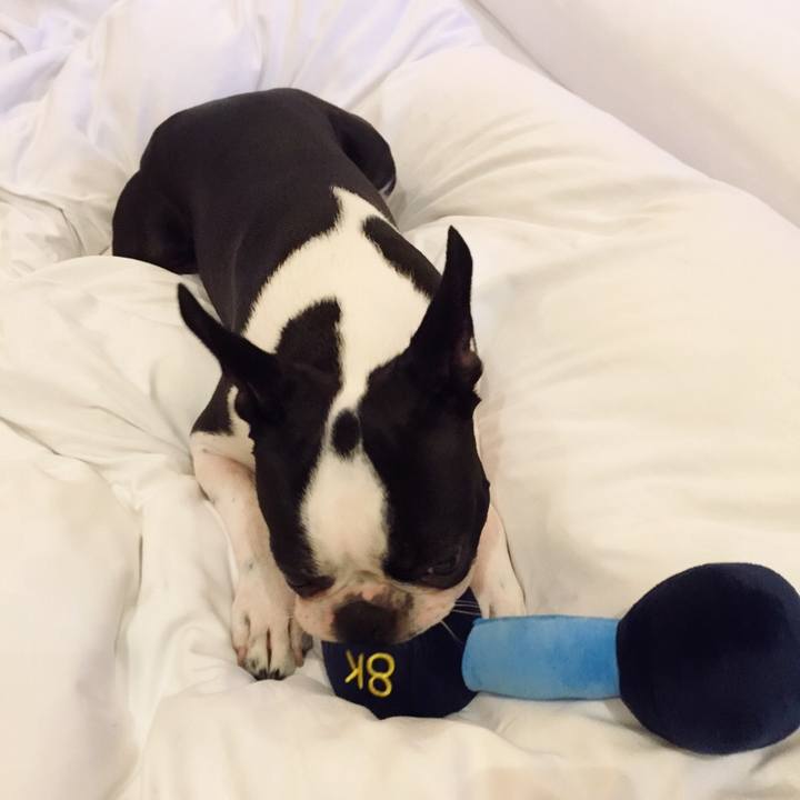 73041f3b 681f 42f4 a379 9eb373d29756