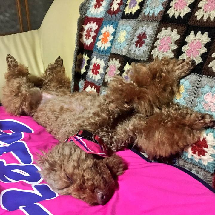 7304247e 4150 4a40 8349 744196b27360