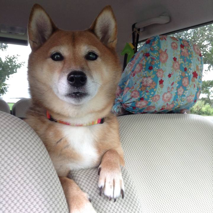 73043477 06b7 4cc8 b03d be62631667f5