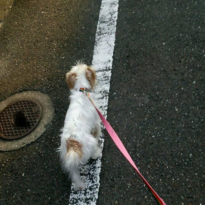 73044626 59af 4fb0 ac4d 3d5e2950a2b9