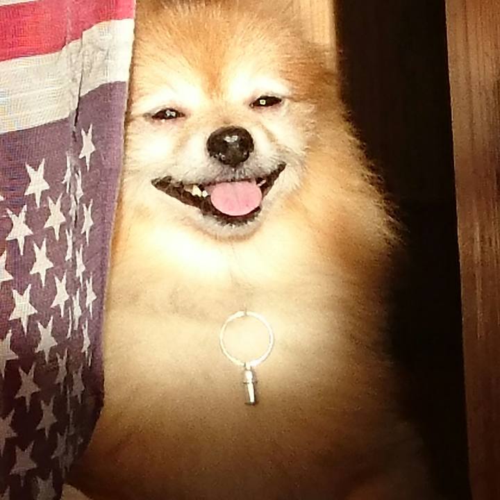 7304861e 30e3 4993 8aa7 8f7c47a682e0