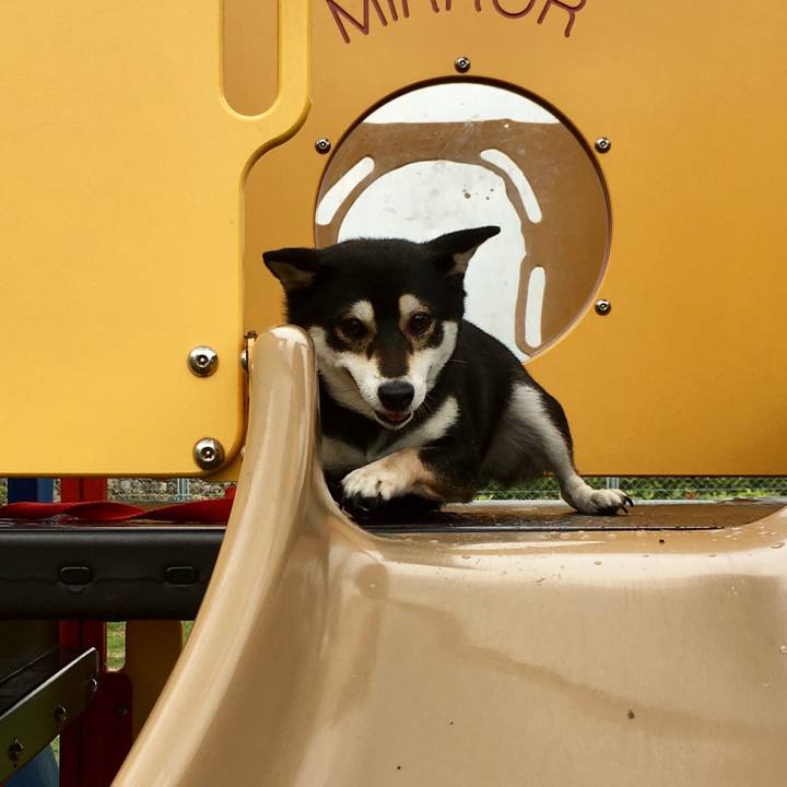 7304b1b3 58f0 4c2f a13c 88808af72e8c