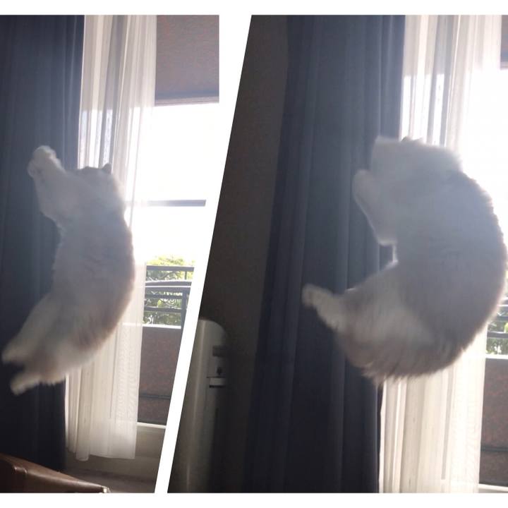 73051a76 4a86 42a0 83e5 8b17d4940554