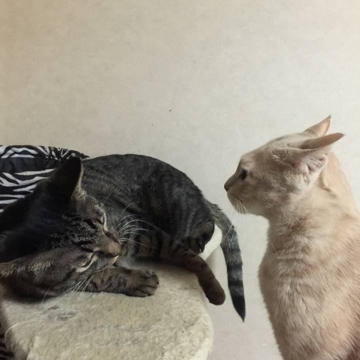 73051f68 521a 403f b578 14d8b92c5301