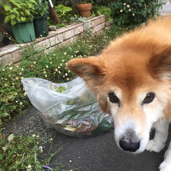 73055446 f8e9 49b3 96d7 8ea722af3003