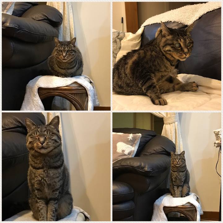 7305787d ee26 490b 80de 76d5ac65947a