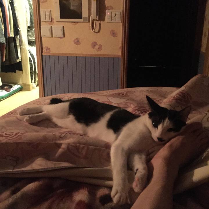 73068f68 771e 48da b157 5465c2279d4e