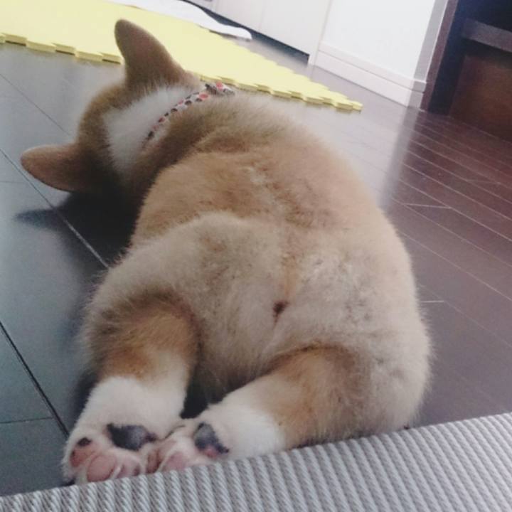 7306b3bb 3ccd 443f bed0 2be1eb54d87a