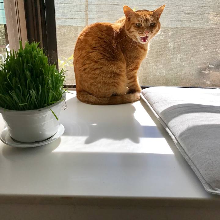 7306df77 c0d4 4711 a2d3 a2c4f4a71900