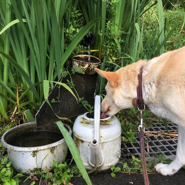 730748b8 095b 44b9 8ce4 c4ea761eca09