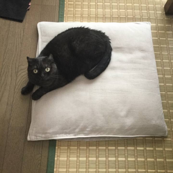 7307704b 23a6 4ba9 8c8e 71a419eb648a