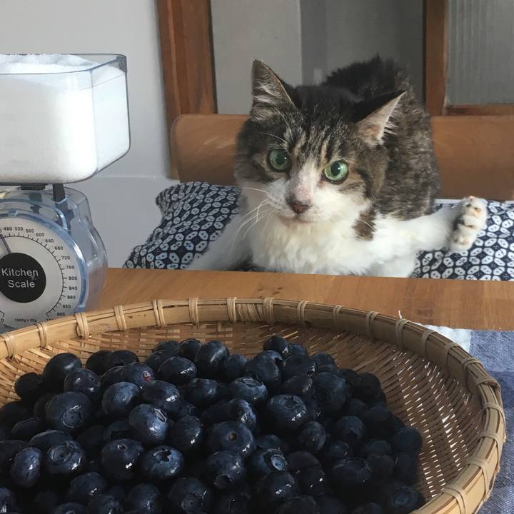 73077407 36a4 48f3 9ffa ce82f71ad9fe