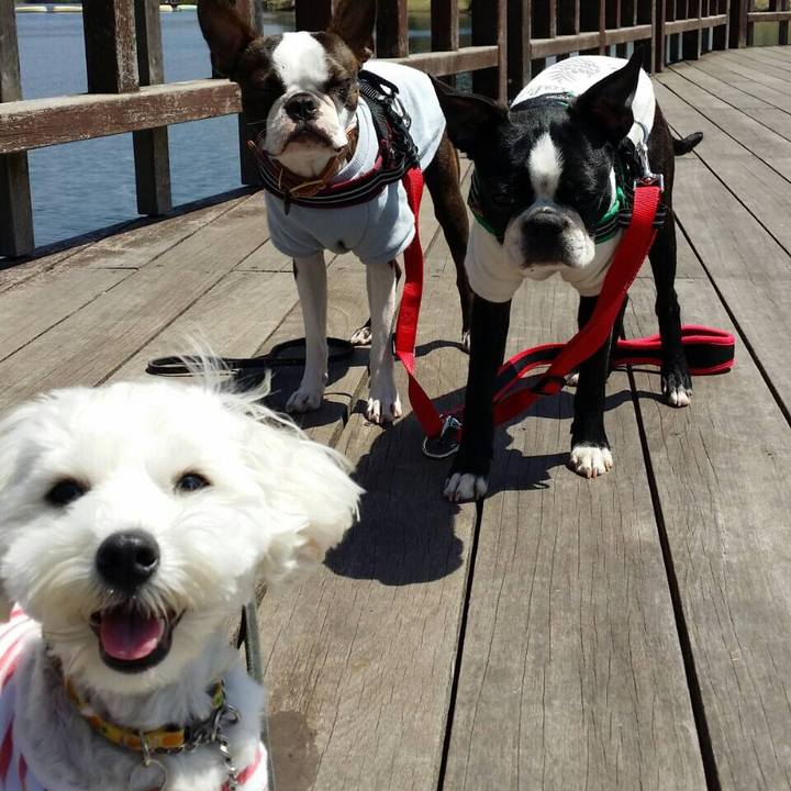 7307c749 10b7 4d69 b659 2db214f01e23