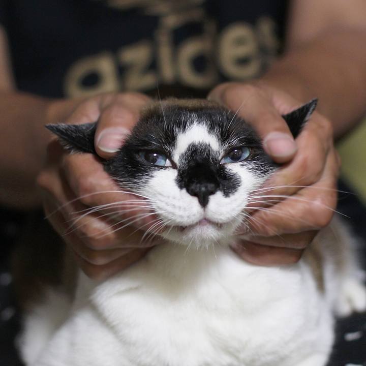 7307cce7 5012 4a0c be39 ef7f54e4a409