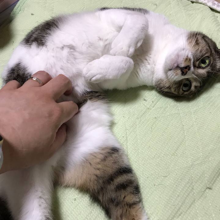 7307f33d a6f2 4585 8df5 5df012d60c94