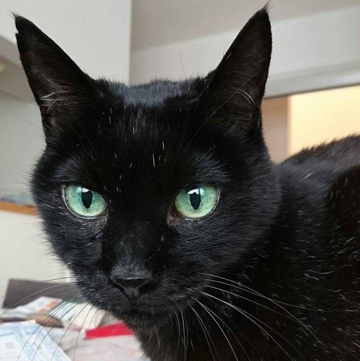 73088964 3543 4336 ba49 e8b769b953e1