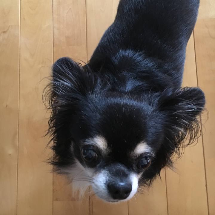 7309278e 40ad 4811 92e5 da12006c4b6b