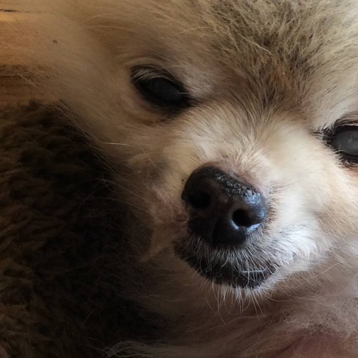 730977d9 7e11 4993 935d 688d6ad6a6a7