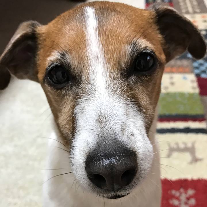 7309ac45 c3aa 4a5f aabb 4d352ca793d6