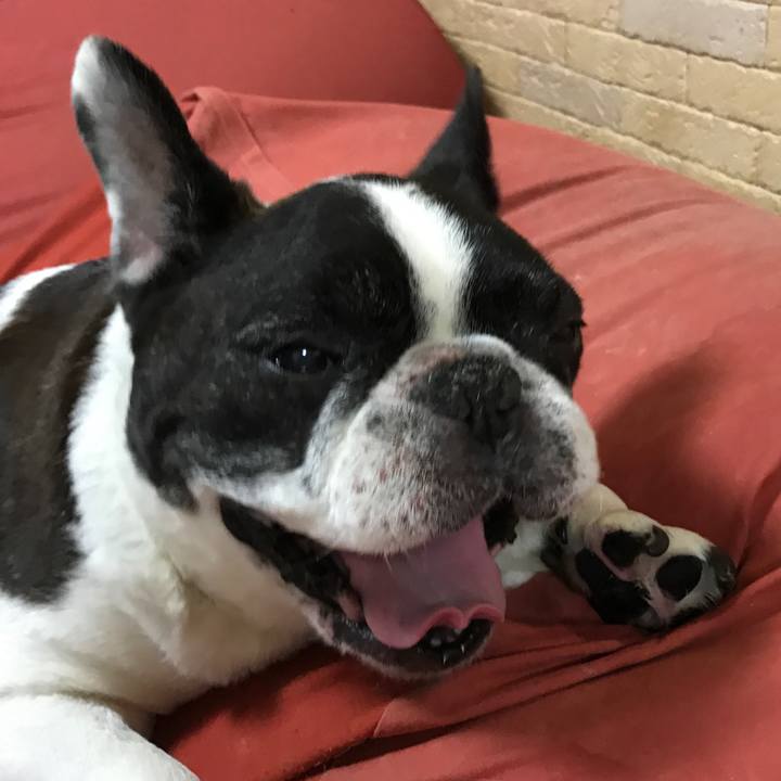 7309e60c 99a8 4d53 ba24 4f0a5dccb3c8