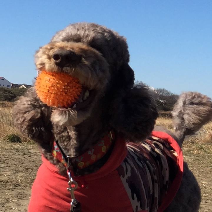 730a038a e1eb 4b3d 9e14 ca85abdfac51