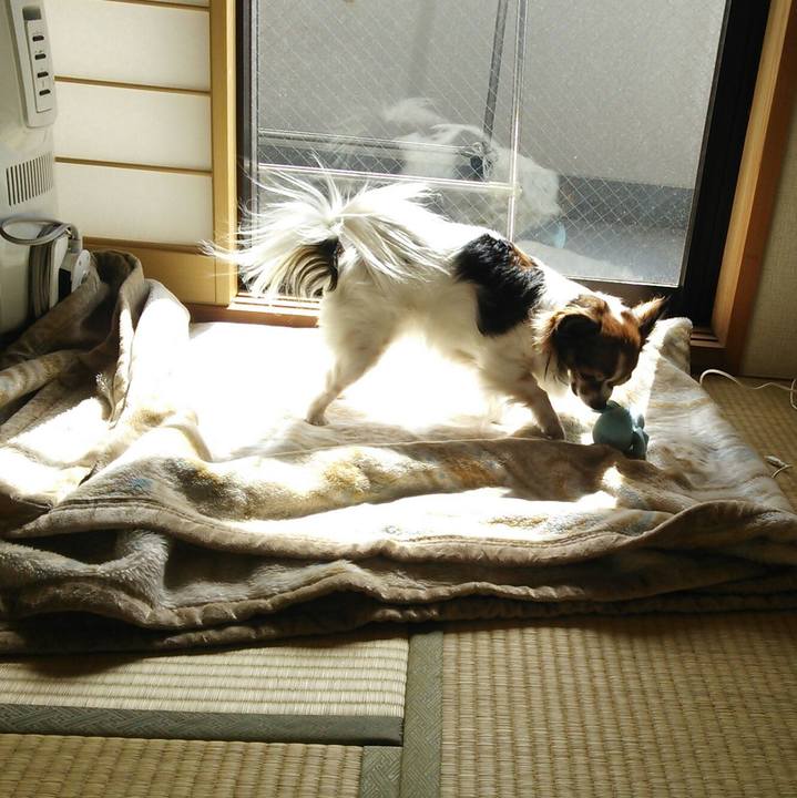 730a2b89 1a1b 4af5 9c19 25d64b3dff46