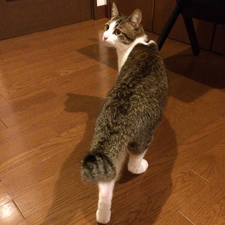 730a395f 5591 4b69 a9d8 26f9e03ee7ab