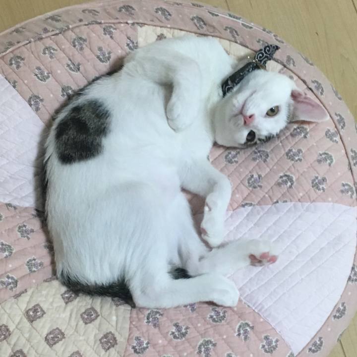 730a7234 1487 45c4 bcf8 f798b6f266cb