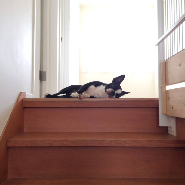 730b5680 c688 4222 befb bc0841ac2678