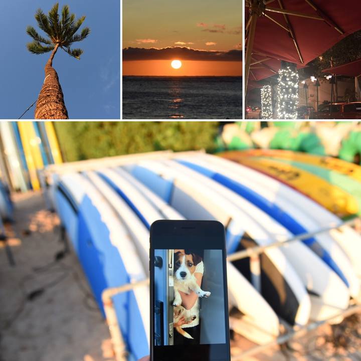 730b8f6a badc 48e2 b17a f8d2ef940e3f