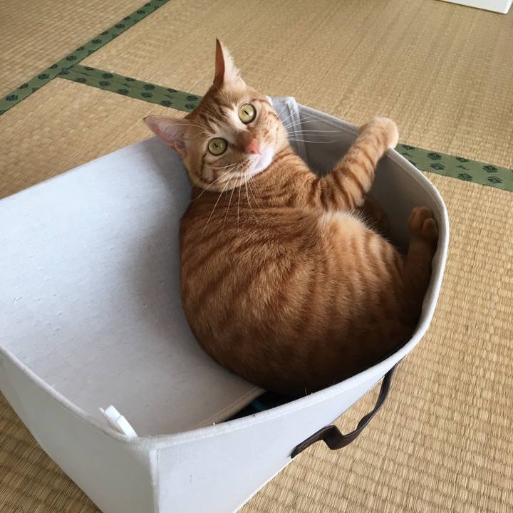 730bcc9e 74b5 49e1 b523 5e93f977fe7d