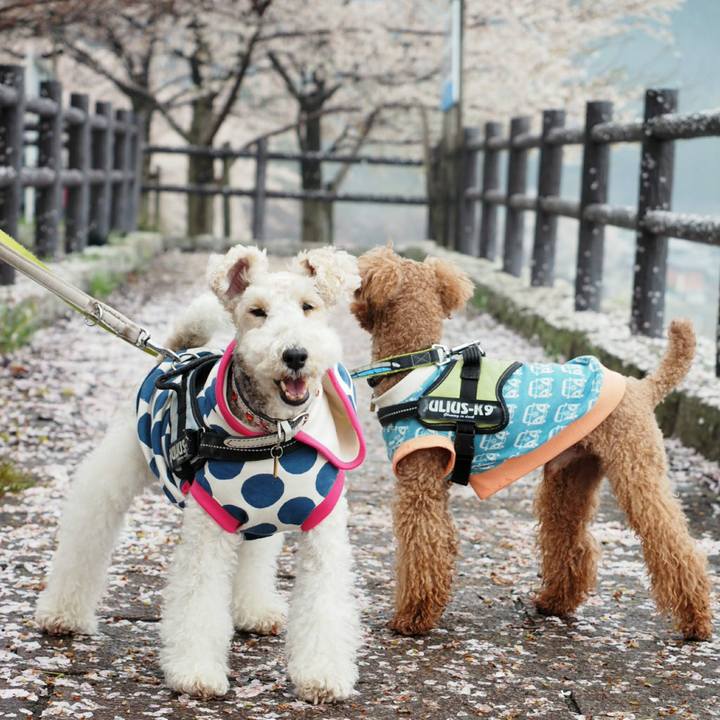 730c4d86 e3c4 4120 8808 6b278f01611f