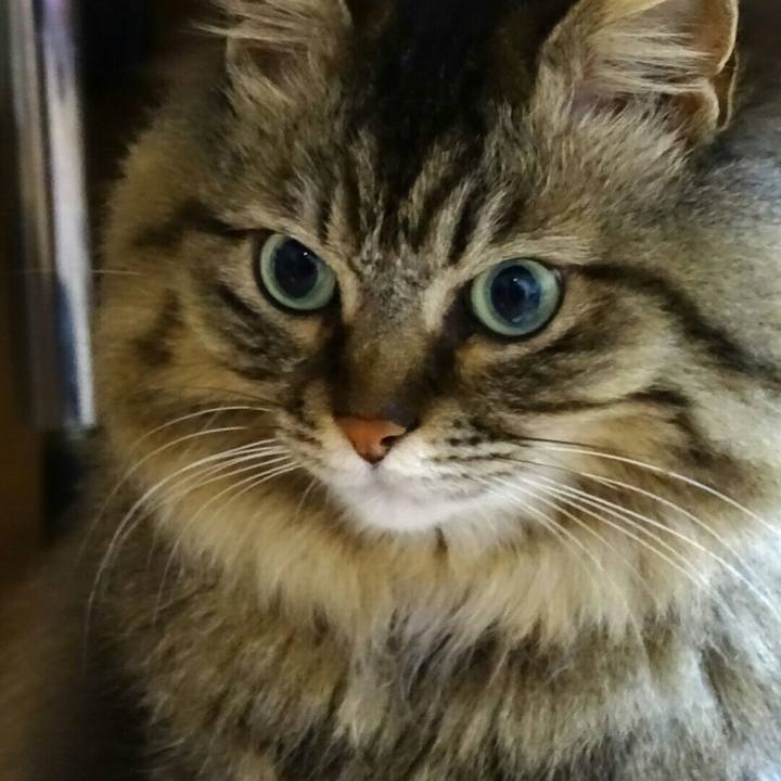 730c81c7 b478 49de b5fc 784f13cf3192