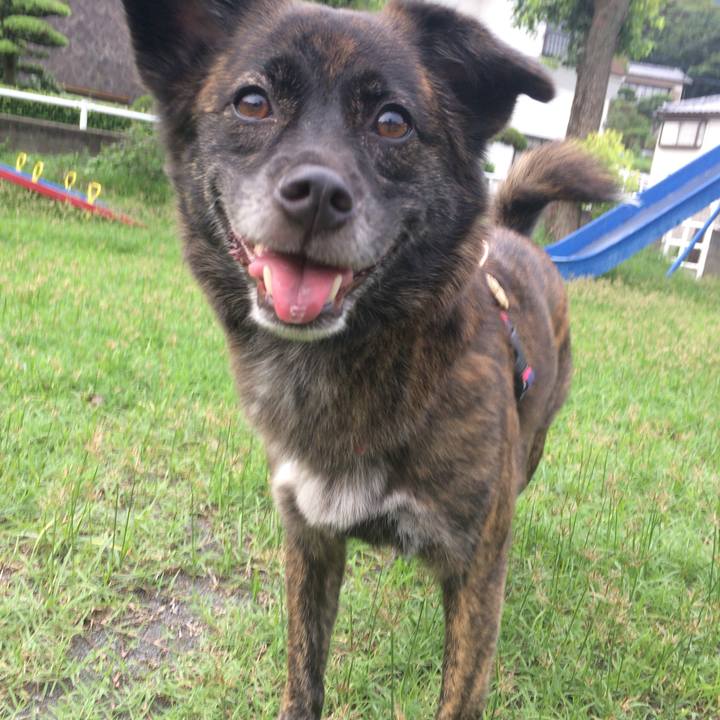 730c8ec9 54e6 4e63 a5f4 6bc45fb73f23