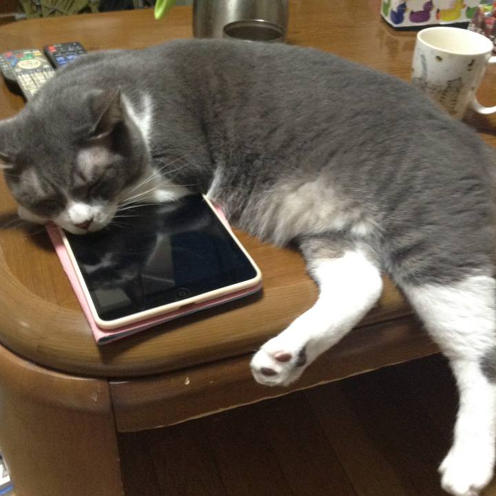 730cec64 f684 4143 8038 e54b39656ce8