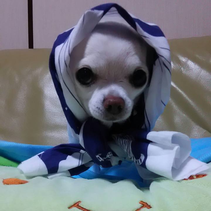 730cf48f 9159 4089 90dc c19fce5f68e3