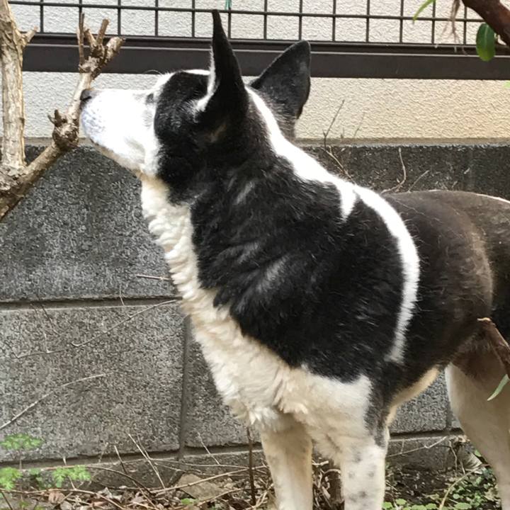 730d7894 846d 45dc 95fd da8a5c5deacd