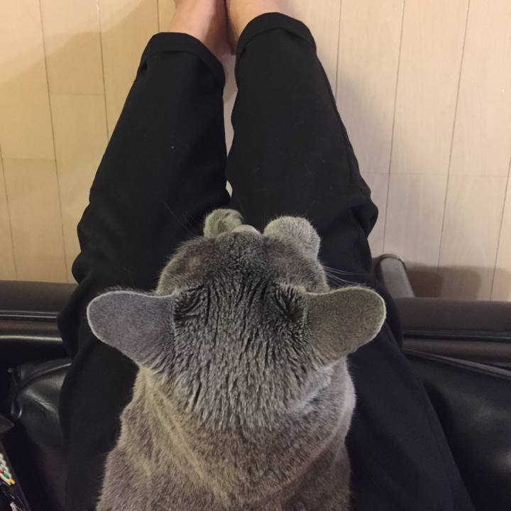 730d7d7b 64f2 49a6 b29f e8ebc38095c8