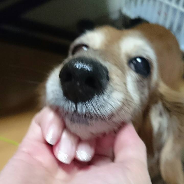 730d8971 0b57 48d3 815a 2cf05f28a6e8