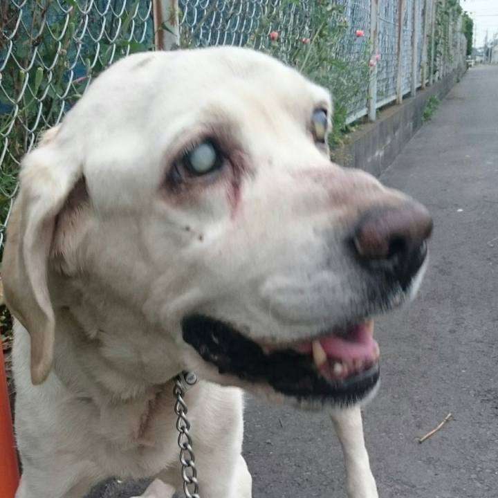 730da7b4 f4ec 405e b248 58258415cce0