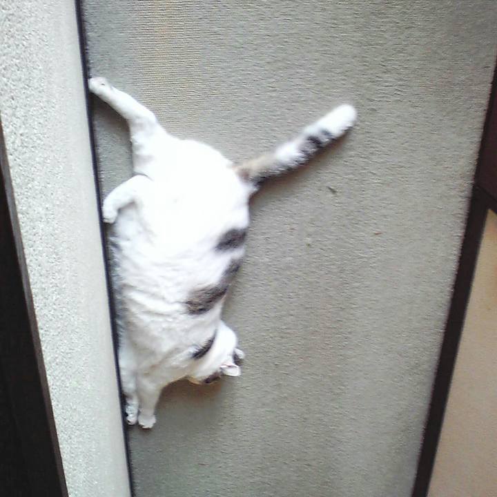 730e0cdf 3652 4f45 b632 2ac9d39d7353