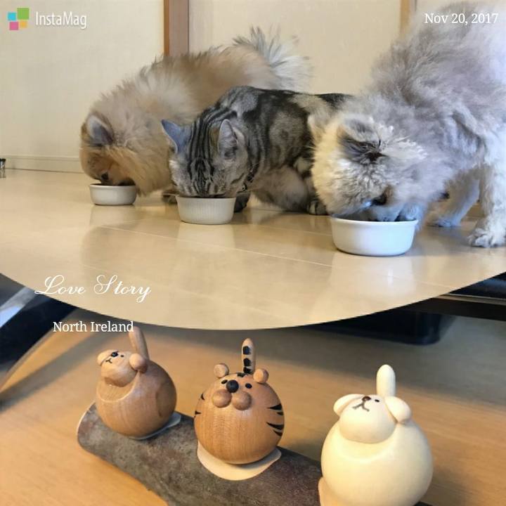 730e45ec eeb4 4899 aa02 da5e090a8991