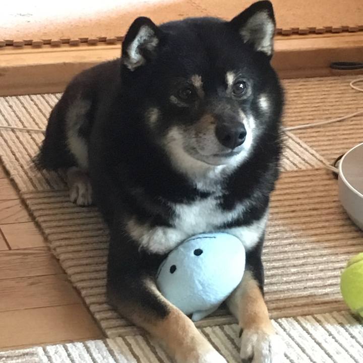 730f38be 1e47 4c27 8416 038640abb9bc