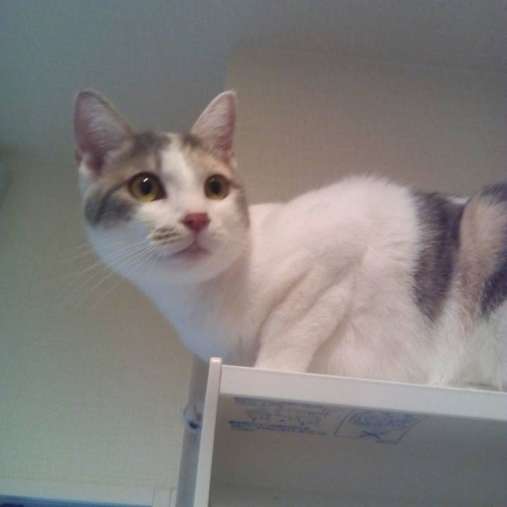 730f9b4f 0deb 4ad3 9285 f30f171f91f3