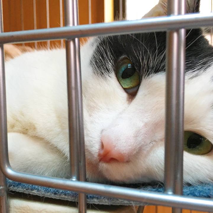 73100d5d ab58 441a 9f63 e4aca2d0ddb3