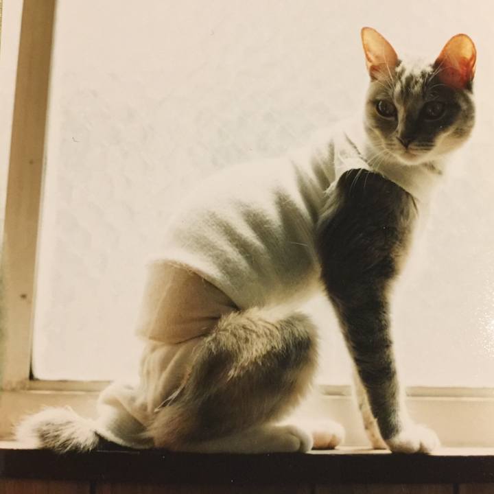 731035df df3b 44ff a18d 0e788c49bcb4