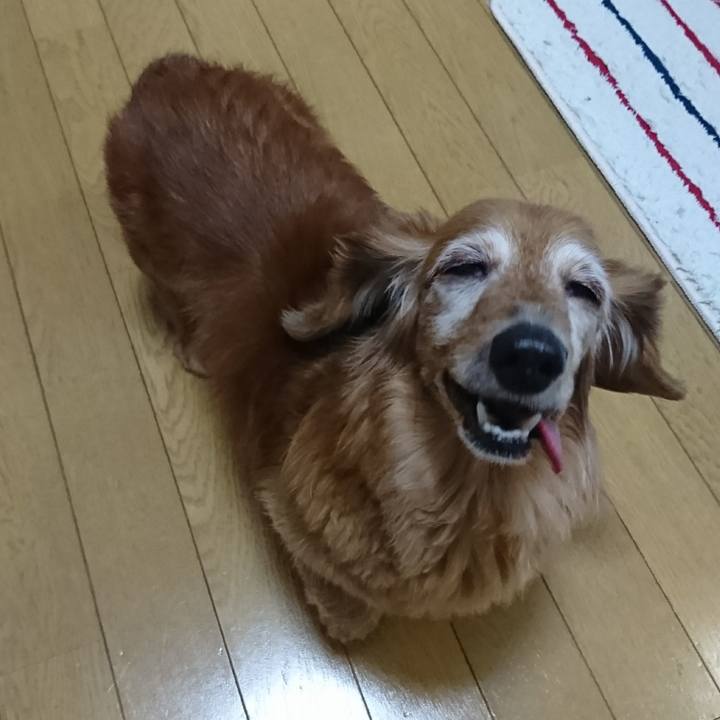 731070e4 e716 4615 891c 7600773cd413