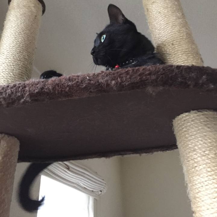 73107772 455e 4515 98cf 5d7eb57fcbaa