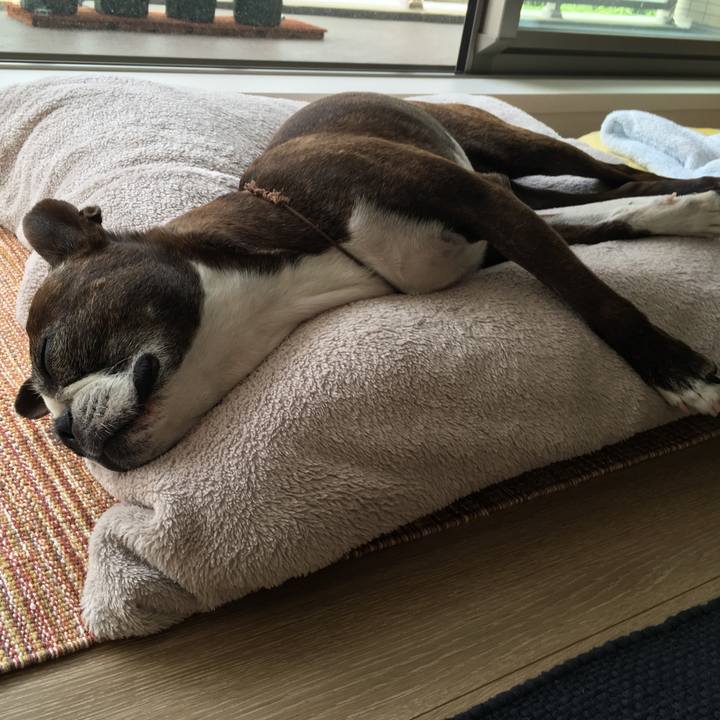 7310fbb7 d46c 404f b920 db05e94d8ada